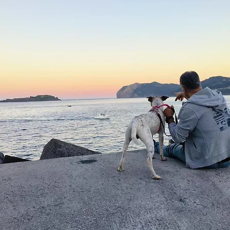 Apartamento Arrantzale *