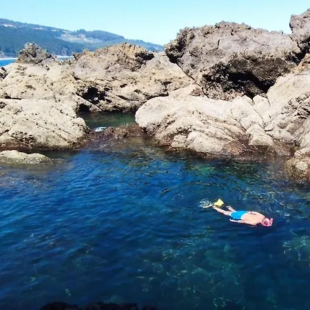 Arrantzale Apartamento