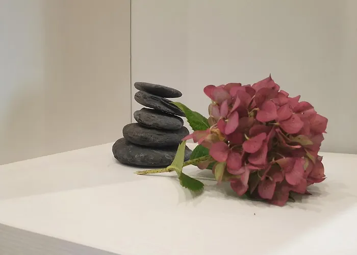 Arrantzale Apartamento