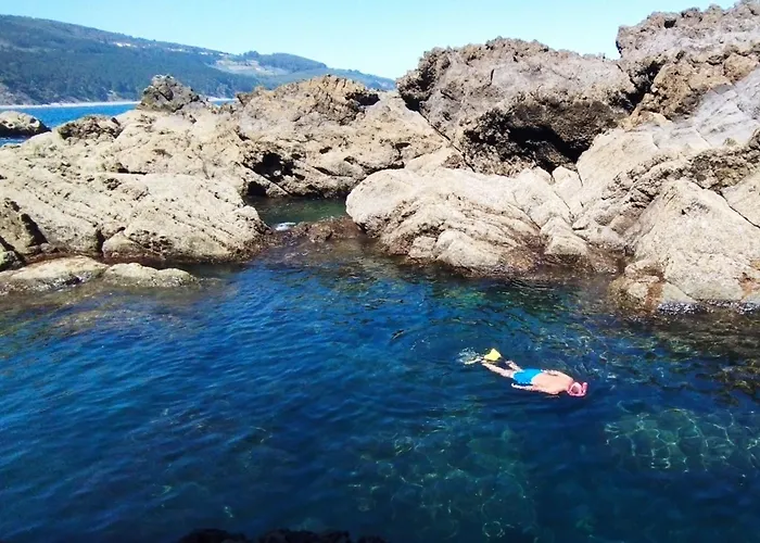 Arrantzale Apartamento