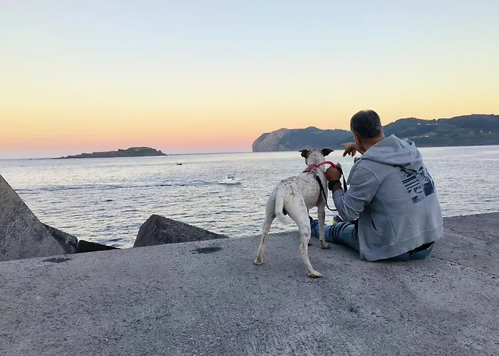 Apartmán Arrantzale *